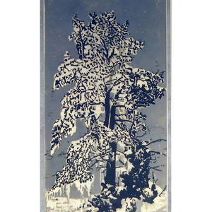 Hemlock Snow.jpg